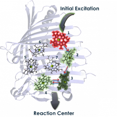 images_large_jz5c02945_0001 1